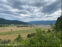 Lot 4 Pine, Alpine WY 83128