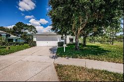 1451 Hickory Moss Place, Trinity FL 34655