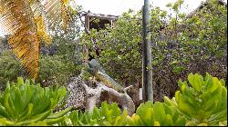 Dolphin Lookout Ocean View on South Side of Cayman Brac