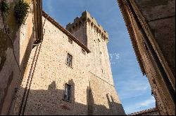 Bright and panoramic apartment by the iconic tower of Capalbio