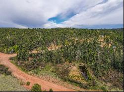 87 Chalk Circle Trail, Florissant, CO 80816