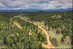 87 Chalk Circle Trail, Florissant, CO 80816