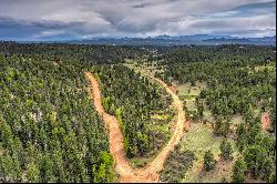 87 Chalk Circle Trail, Florissant, CO 80816