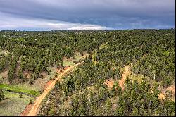 87 Chalk Circle Trail, Florissant, CO 80816