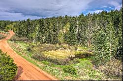 87 Chalk Circle Trail, Florissant, CO 80816