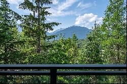 Whistler, Whistler & Squamish