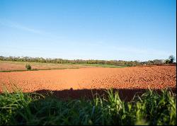 Halberton Court Farm, Halberton, Tiverton, Devon, EX16 7AW