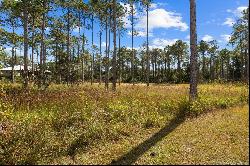 7644 Coastal Hammock Trail, Panama City Beach FL 32413