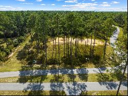 7644 Coastal Hammock Trail, Panama City Beach FL 32413