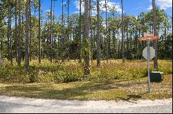 7644 Coastal Hammock Trail, Panama City Beach FL 32413