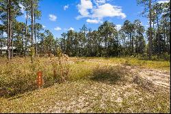 7644 Coastal Hammock Trail, Panama City Beach FL 32413