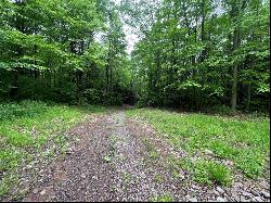 Miller Run Road, Greenville Twp - Som PA 15552