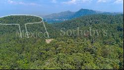 Terreno Rancho de Paso Hondo, 4 Lotes Juntos