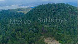 Terreno Rancho de Paso Hondo, 4 Lotes Juntos