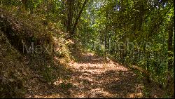 Terreno Rancho de Paso Hondo, 4 Lotes Juntos