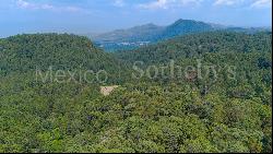 Terreno Rancho de Paso Hondo, 4 Lotes Juntos