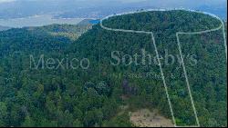 Terreno Rancho de Paso Hondo, 4 Lotes Juntos