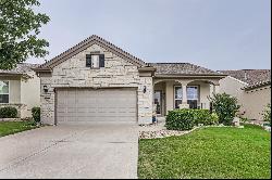 225 Monument Hill Trl, Georgetown TX 78633