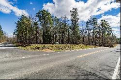 Village Road, Leesville SC 29070