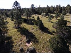 Lot 9 Sunrise Way, Ramah NM 87321