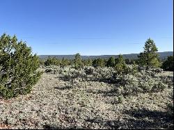 Lot 9 Sunrise Way, Ramah NM 87321