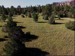 Lot 9 Sunrise Way, Ramah NM 87321