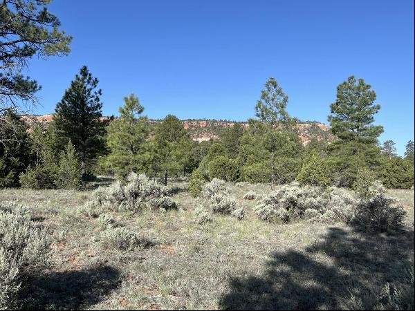 Lot 9 Sunrise Way, Ramah NM 87321