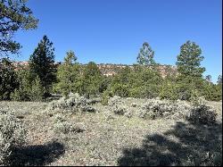 Lot 9 Sunrise Way, Ramah NM 87321