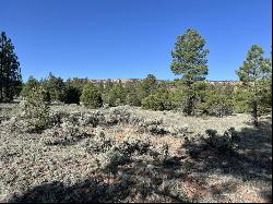 Lot 9 Sunrise Way, Ramah NM 87321