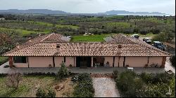 The Ancient Vine, farm and vineyards in Orbetello, Maremma -Tuscany