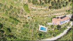 Villa Poggio Al Lago with pool, Passignano sul Trasimeno - Umbria