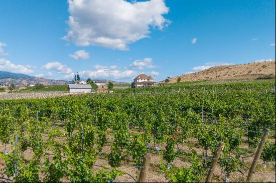 Black Sage Bench Vineyard