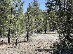 Lot 22 Timberlake Road, Ramah NM 87321