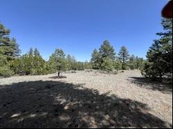 Lot 22 Timberlake Road, Ramah NM 87321