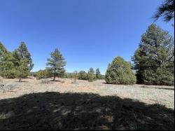 Lot 22 Timberlake Road, Ramah NM 87321