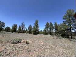 Lot 22 Timberlake Road, Ramah NM 87321