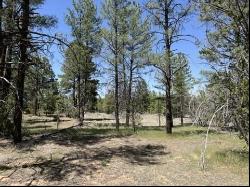 Lot 22 Timberlake Road, Ramah NM 87321