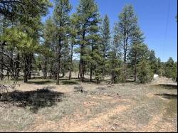 Lot 22 Timberlake Road, Ramah NM 87321