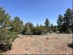 Lot 22 Timberlake Road, Ramah NM 87321