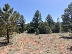 Lot 22 Timberlake Road, Ramah NM 87321