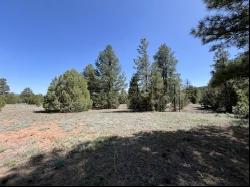 Lot 22 Timberlake Road, Ramah NM 87321