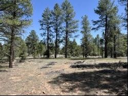 Lot 22 Timberlake Road, Ramah NM 87321