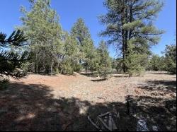 Lot 22 Timberlake Road, Ramah NM 87321