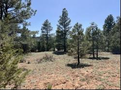 Lot 22 Timberlake Road, Ramah NM 87321