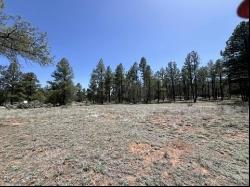 Lot 22 Timberlake Road, Ramah NM 87321