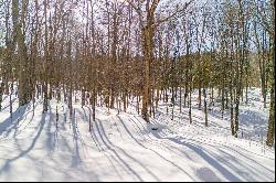 Lake Cecebe Vacant Lot