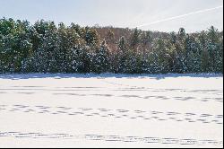 Lake Cecebe Vacant Lot