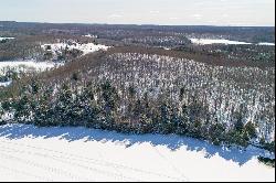 Lake Cecebe Vacant Lot