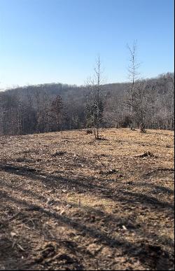 0 Honeyfork Hollow Rd, Indian Mound TN 37079