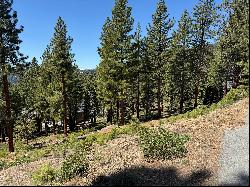 Mountain Majesty: Incline Village Lot with Building Plans